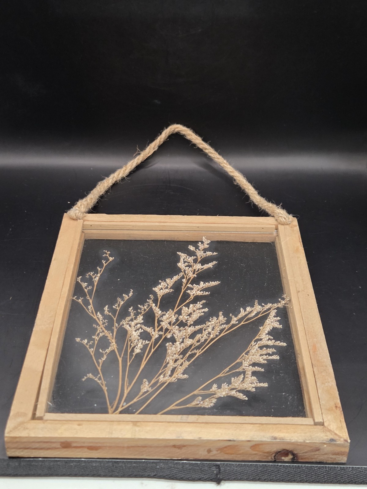 Rustic Wood Framed Glass Dried Flower Plant Wall Hanging 8×10″