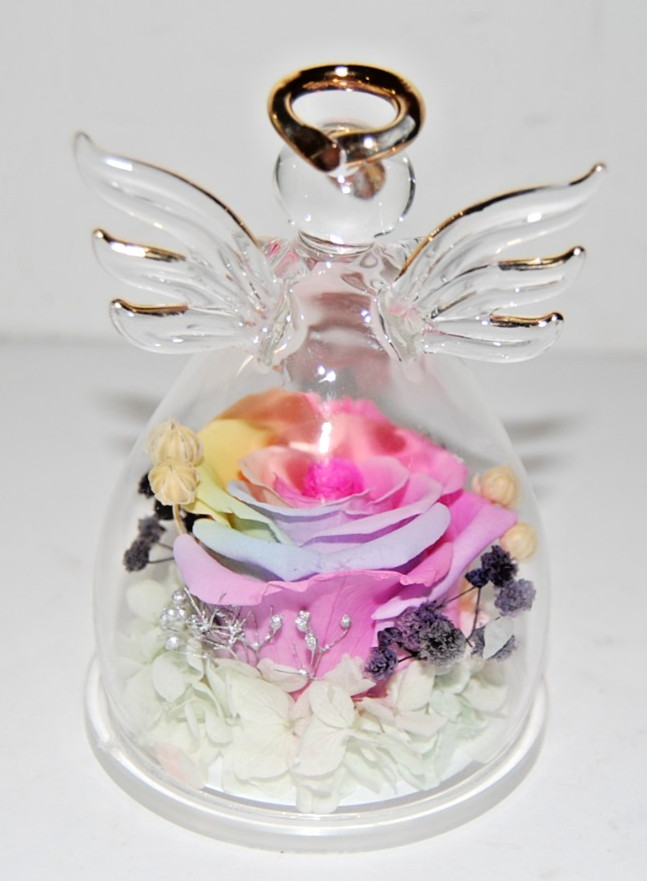 New Glass Angel Rose Gifts Preserved Rainbow Rose Flower in Glass Love Forever