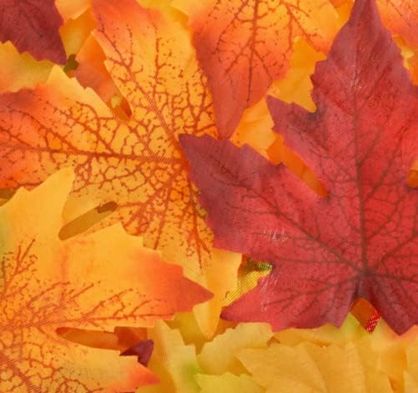 Leaves Orange Color Variety Decorative Scatter for Centerpieces, Autumn Decor, a