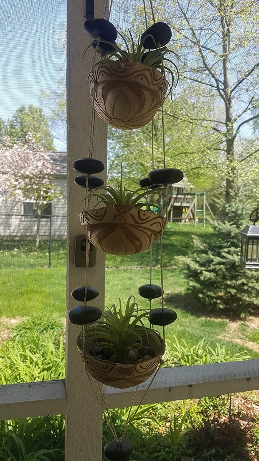 3 PCS Artificial Air Plants Faux Succulents Unpotted Flocked Green DIY Decor