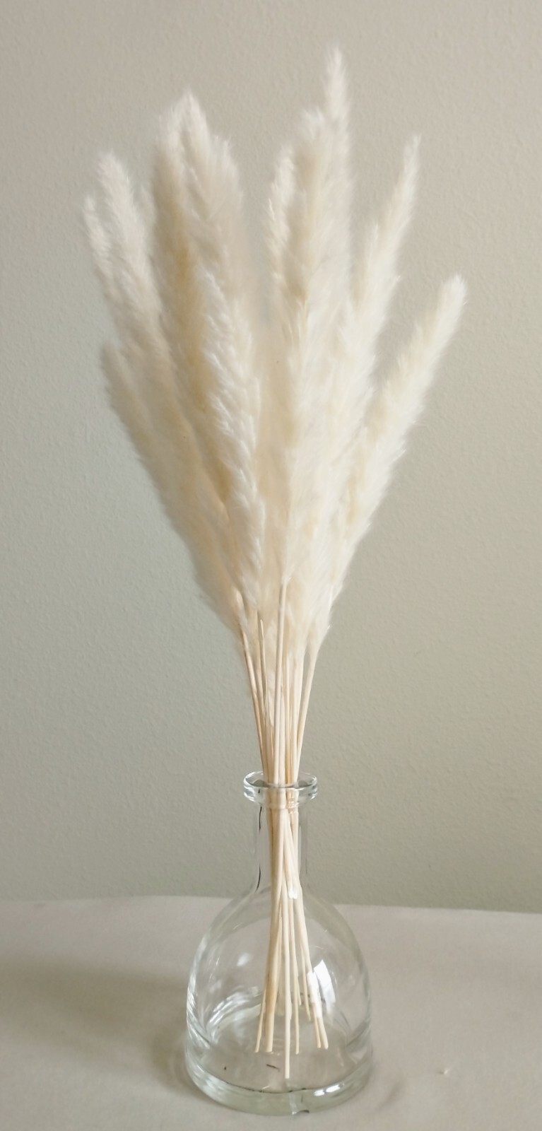 Tall Boho Natural Dried Pampas Grass Bouquet Total 75 Pcs. Decor Wedding Party