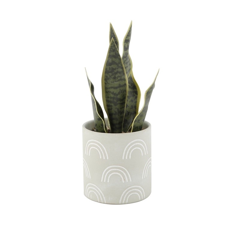 Tabletop Artificial Snake Plant in Rainbow Print Terracotta Pot Indoor Decor New