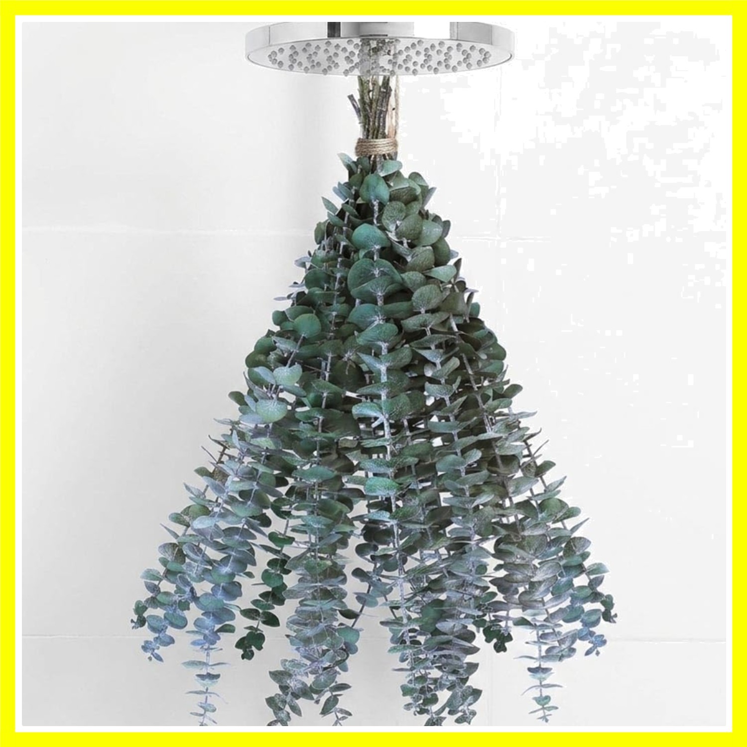 10 PCS Dried Eucalyptus Stems for Shower Bathroom Decor 15-16″ Real Leaves Br…