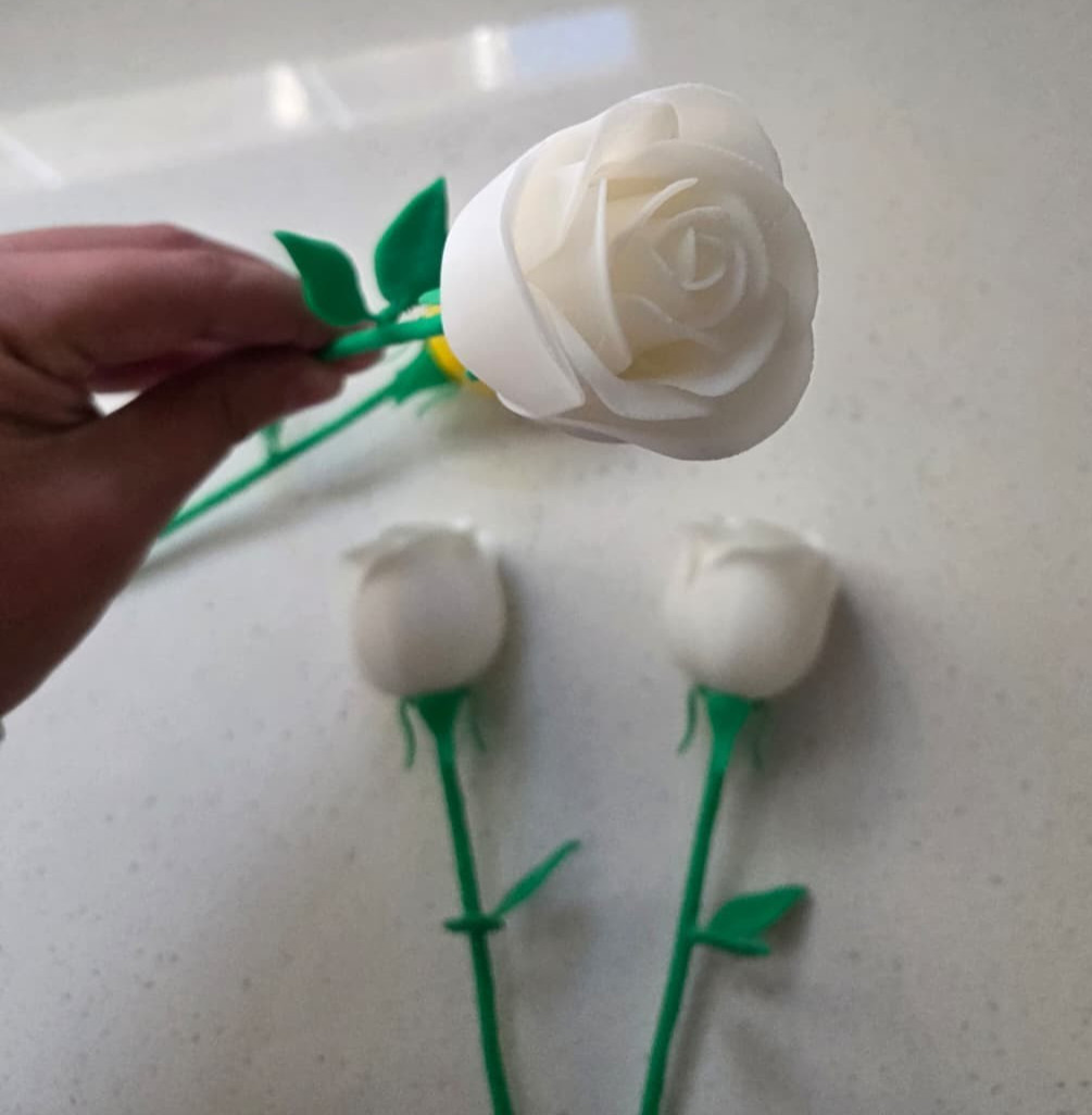 3D Printed Roses -Birthday – Valentine’s Day – Mothers Day – Gift