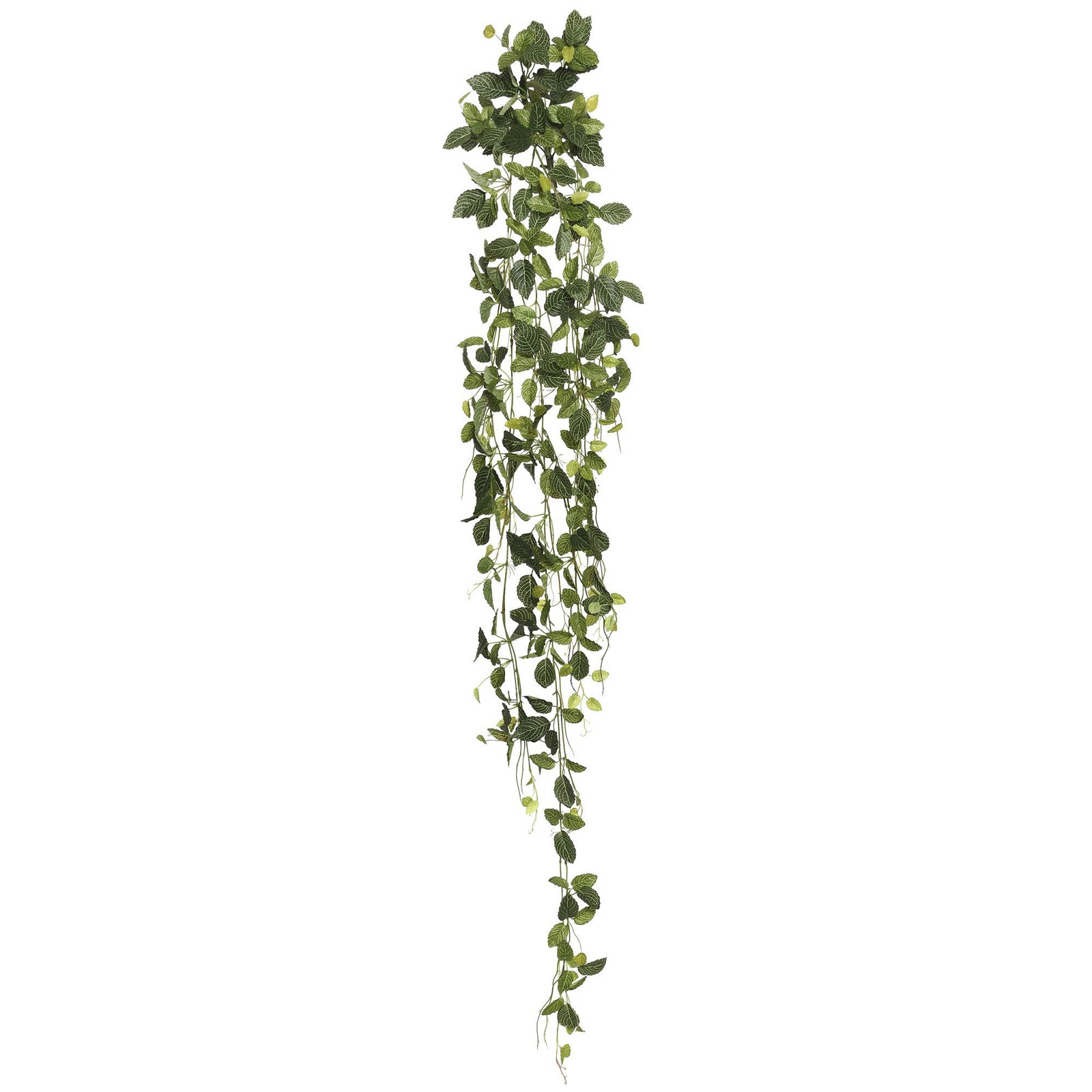 Vickerman 65″ Contemporary Fabric Artificial Fittonia Hanging Bush in Green
