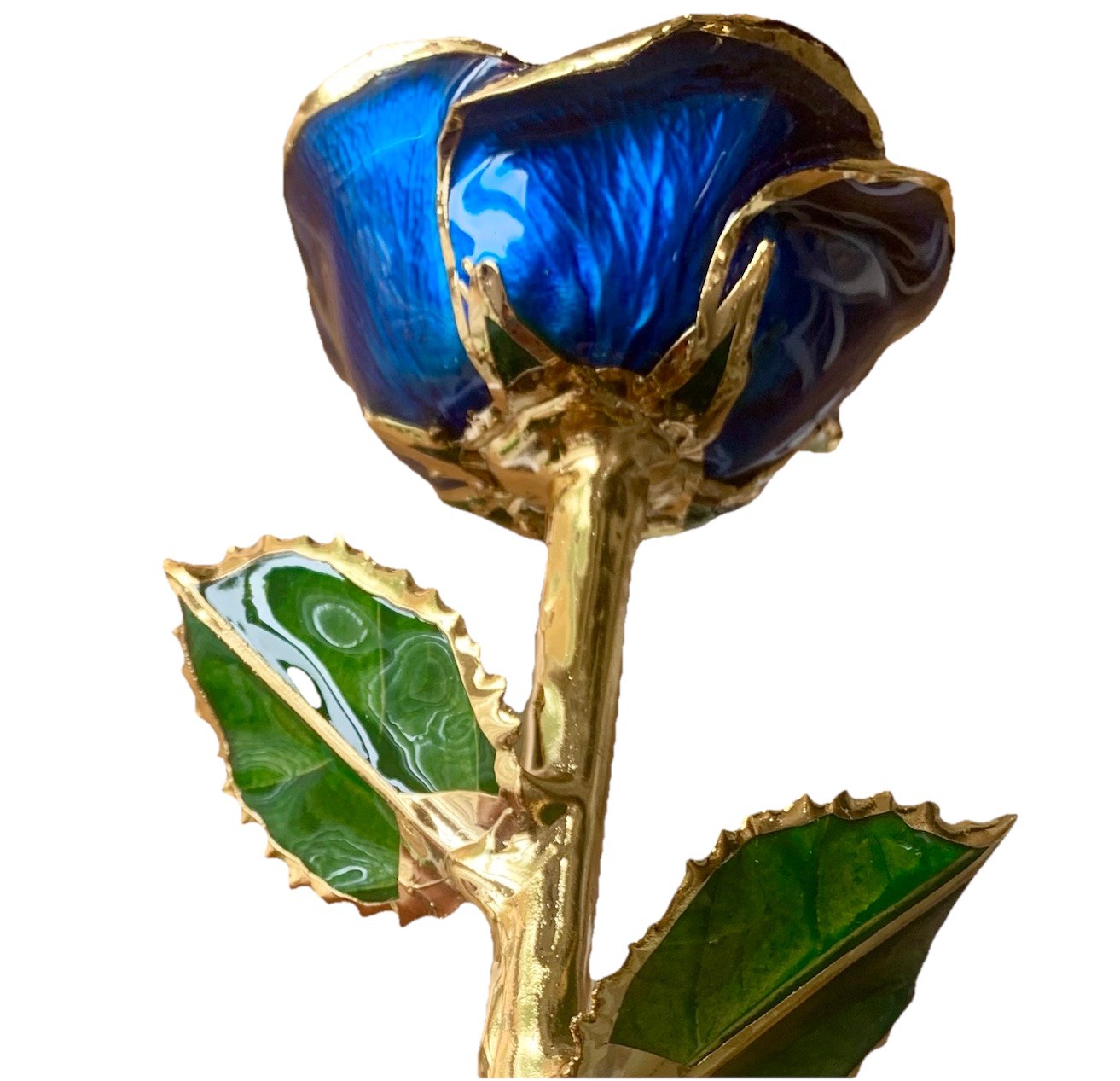 Living Gold Real Rose Dipped in 24K Gold w/ Certificate of Authenticity USA New