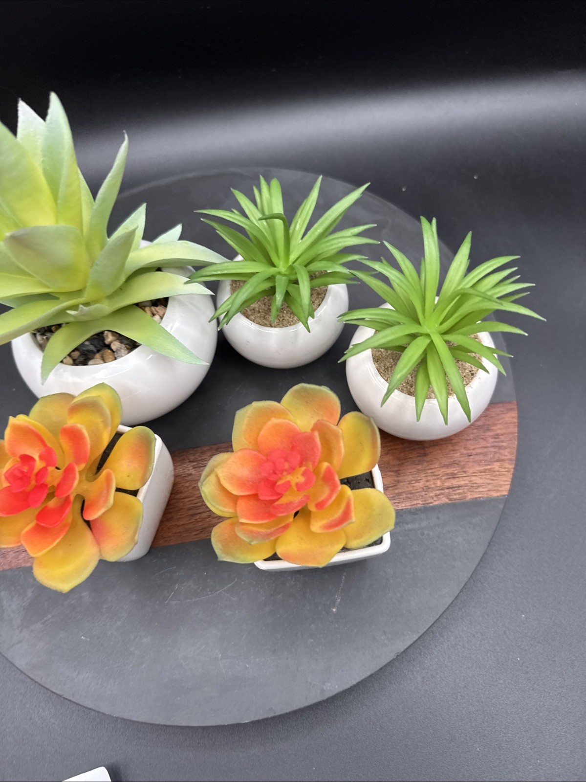 Faux Succulent Plant Set Desk – Realistic Coastal Western Scandi Boho Lot Of 5
