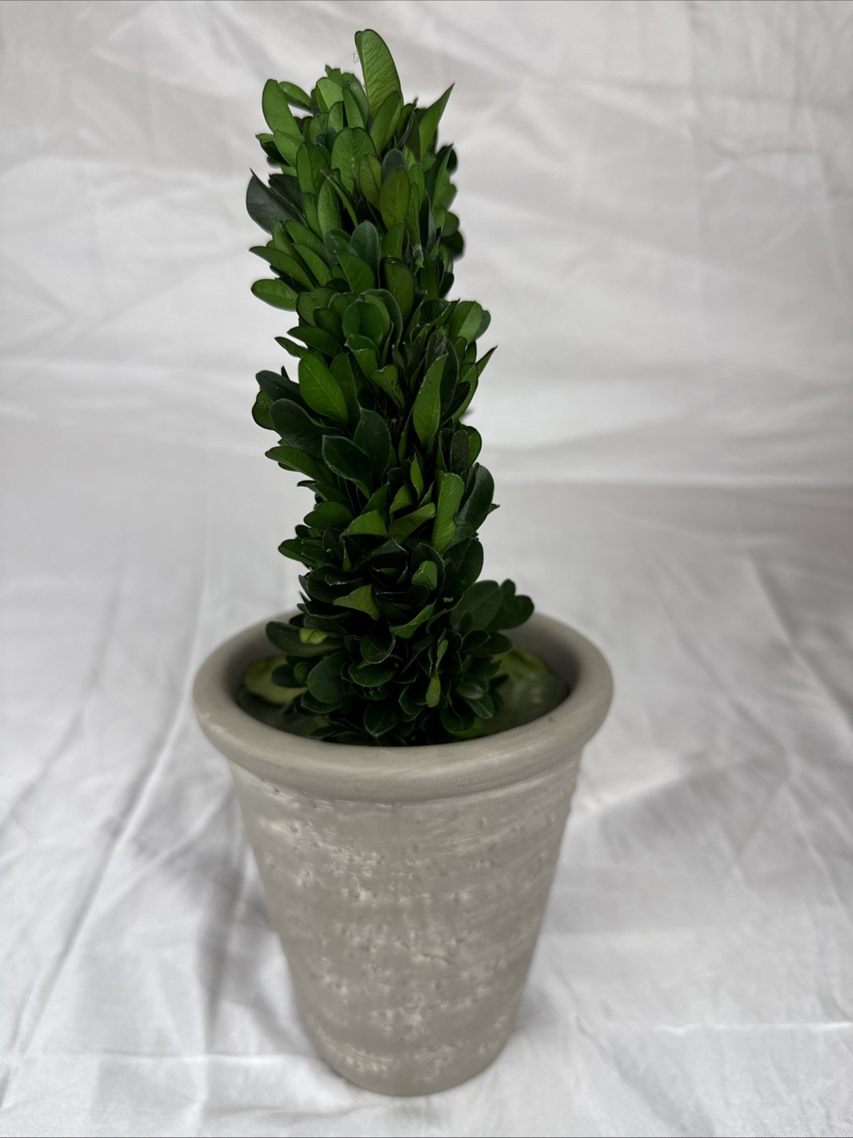Artificial 12″ Green Boxwood Topiary Circular Wreath In Rustic Grey Ceramic Pot