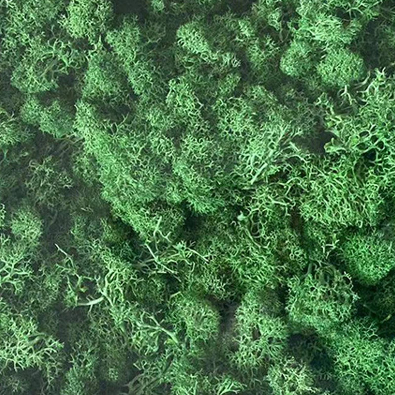 200/500g Artificial Green Plants Fake Grass Eternal Moss For Home Decoration NEW