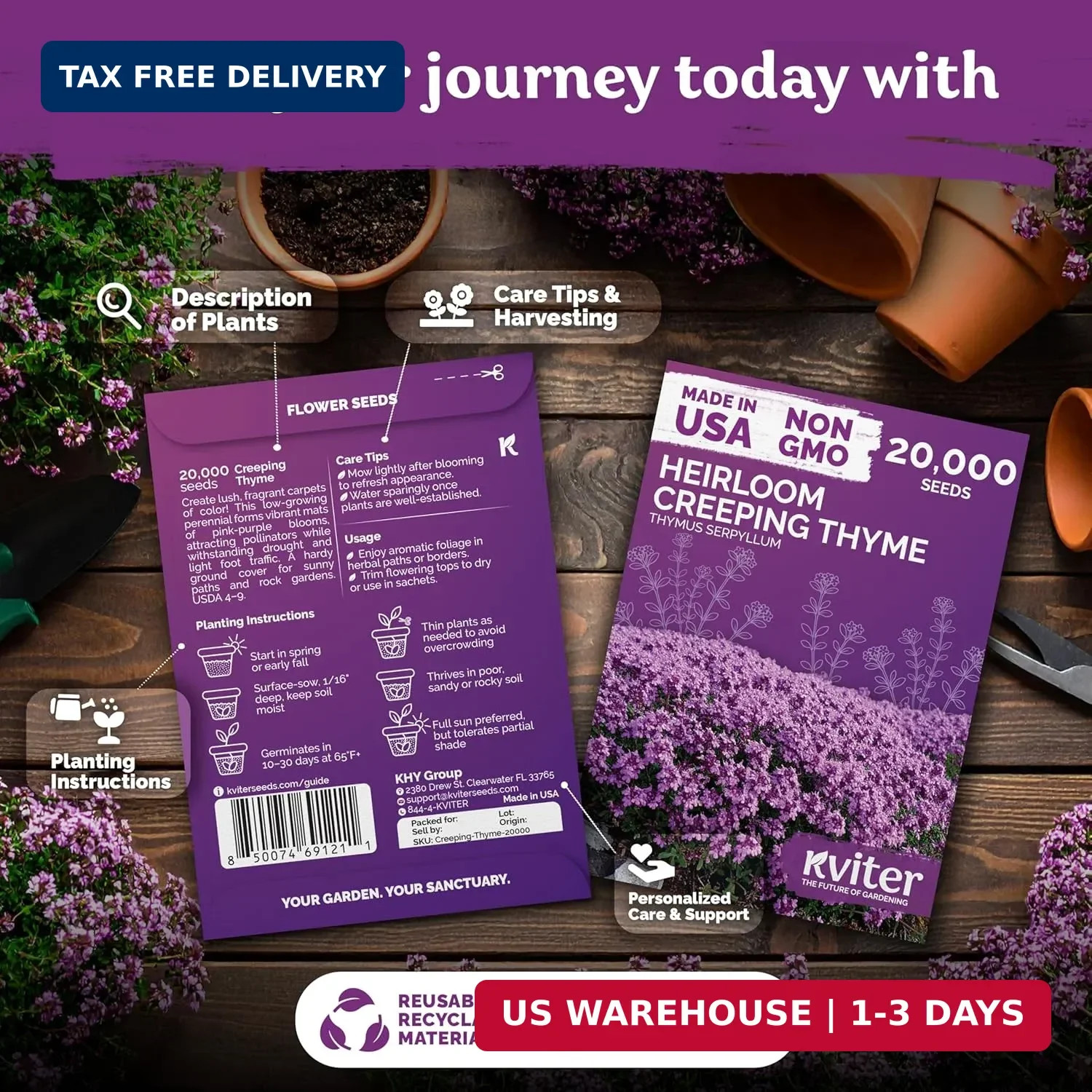 KVITER 20,000 Creeping Thyme Seeds (Thymus Serpyllum) – Wild Thyme, Aromatic Gro