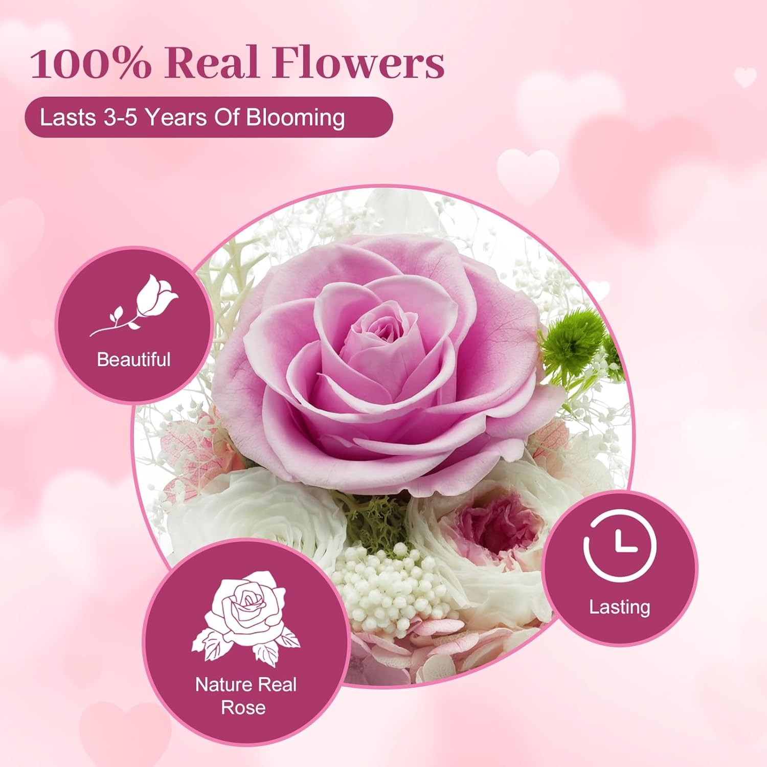 Preserved Rose in Glass Dome Forever Flowers Birthday Gift for Her Special