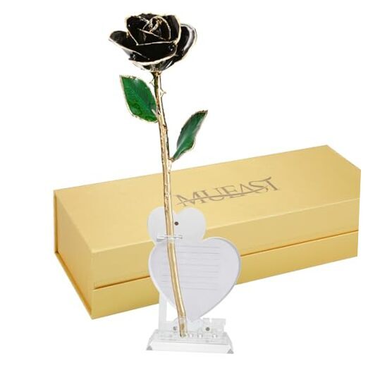 24K Gold Rose Birthday Mother’s Day Valentine’s Day for Mom Daughter Black