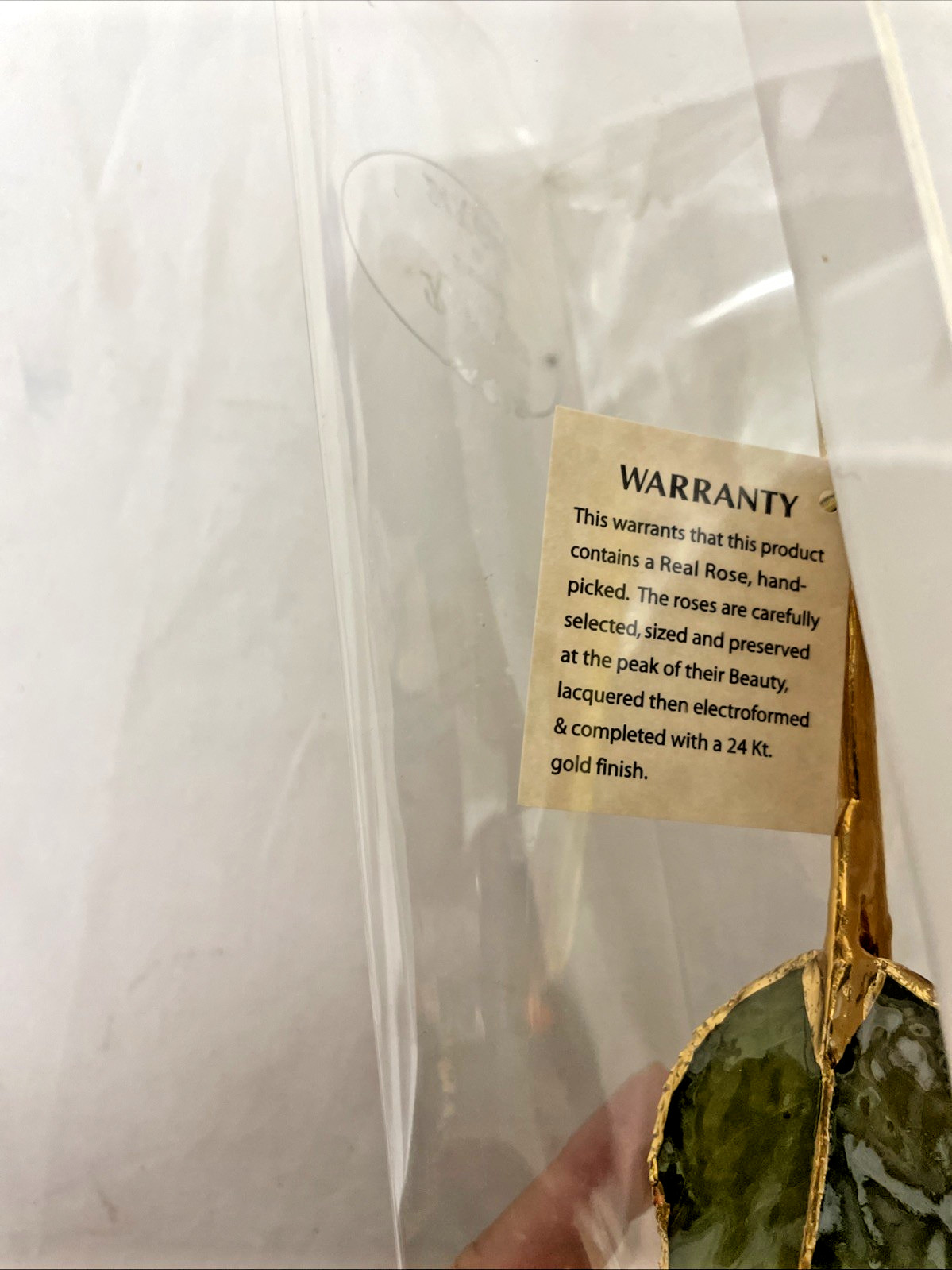 ETERNITY REAL ROSE FLOWER DIPPED IN 24K GOLD ORGINAL BOX TAG