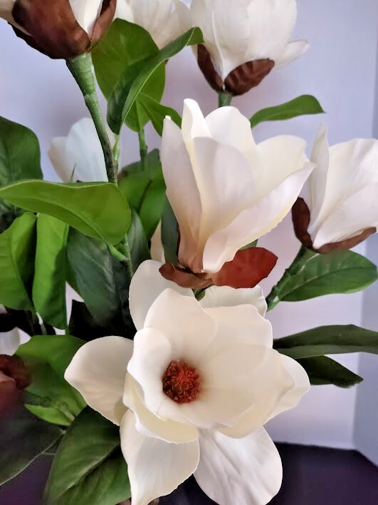 Magnolia stem bouquet water illusion