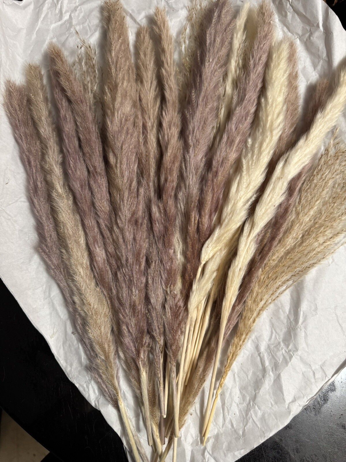 15PCS Natural Dried Pampas Grass 24 In. Reed Flower Wedding Bouquet Home Decors