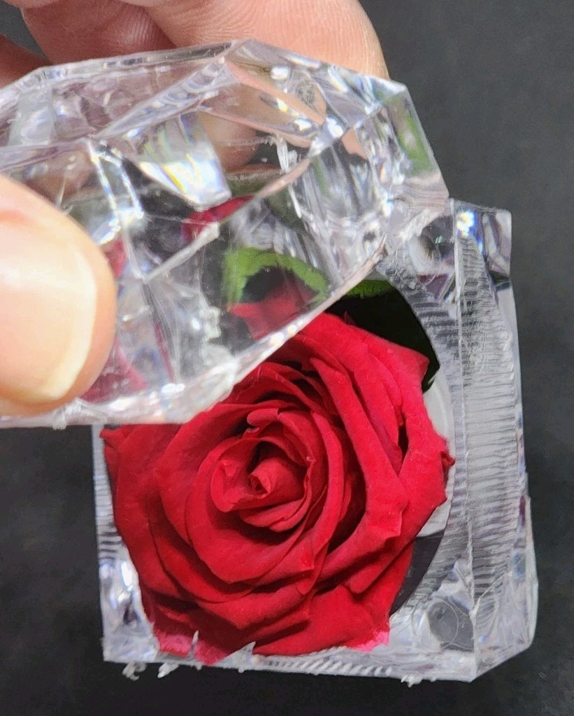 preserved Real red rose W Leaf In clear diamond shaped acrylic Ring box
