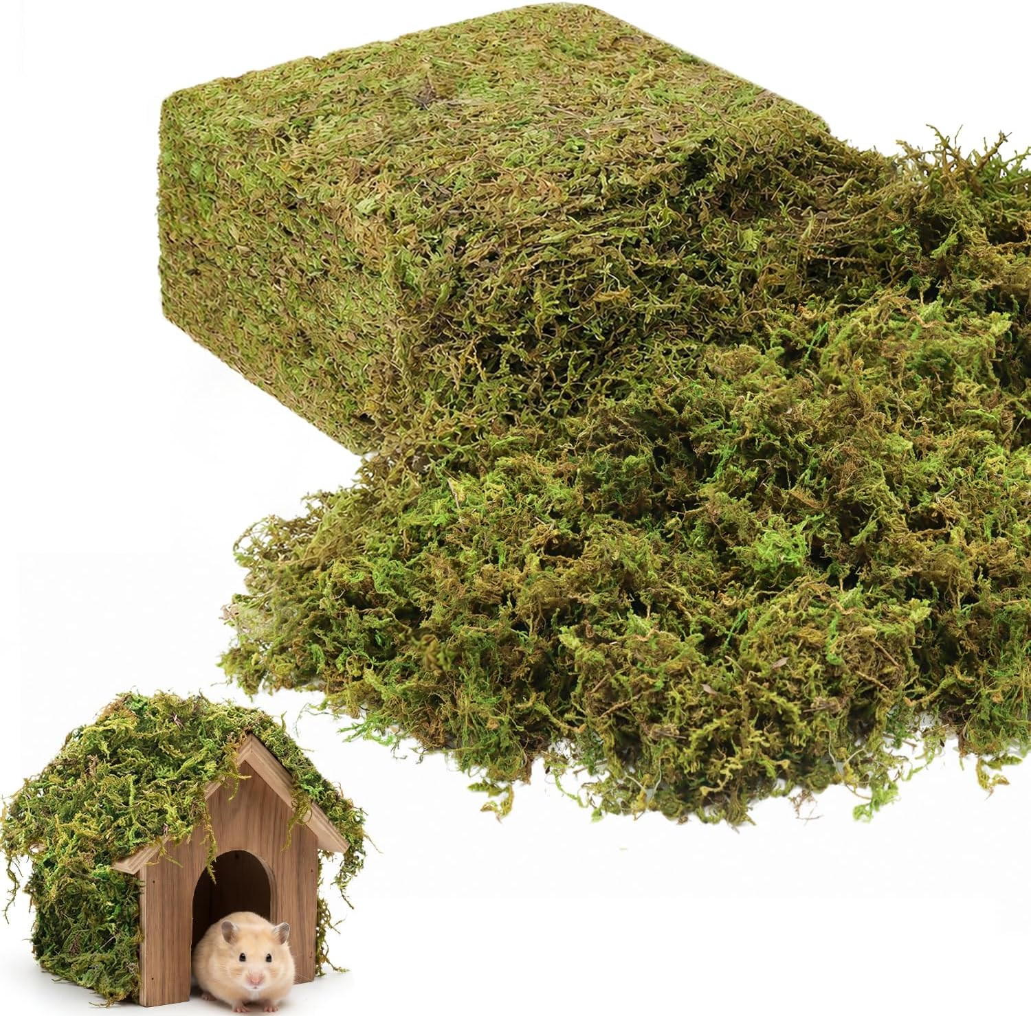 1.3 LBS Green Moss for Plants Indoor, Crafts Moss for Artificial Plants, Decorat