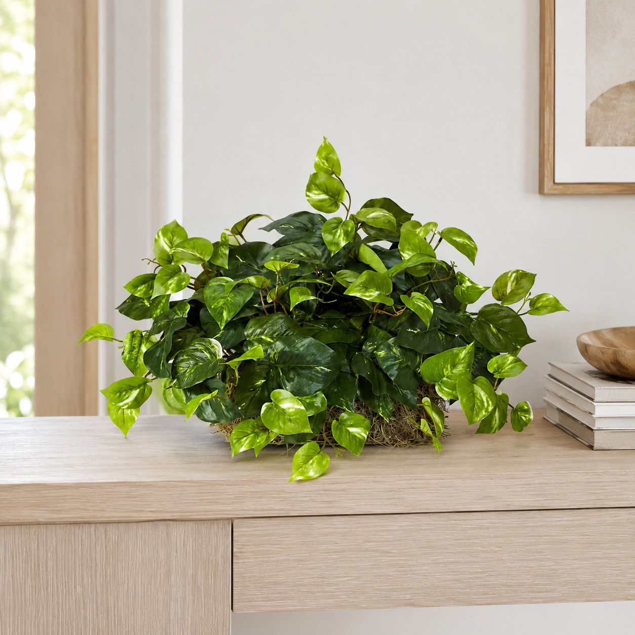 Pothos Ledge Plant (Set on Foam) Silk Plant