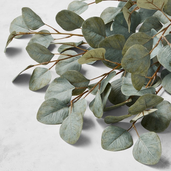 Faux Eucalyptus Stem Decor-Williams Sonoma|33523