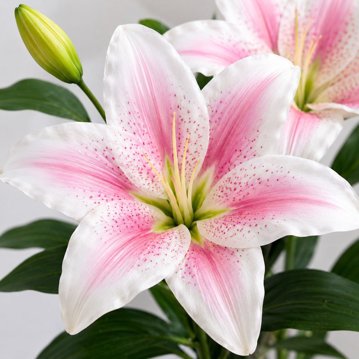 Real Touch Blush Pink Stargazer Lily Stems Set of 2, Artificial Lily Flowers, Fa