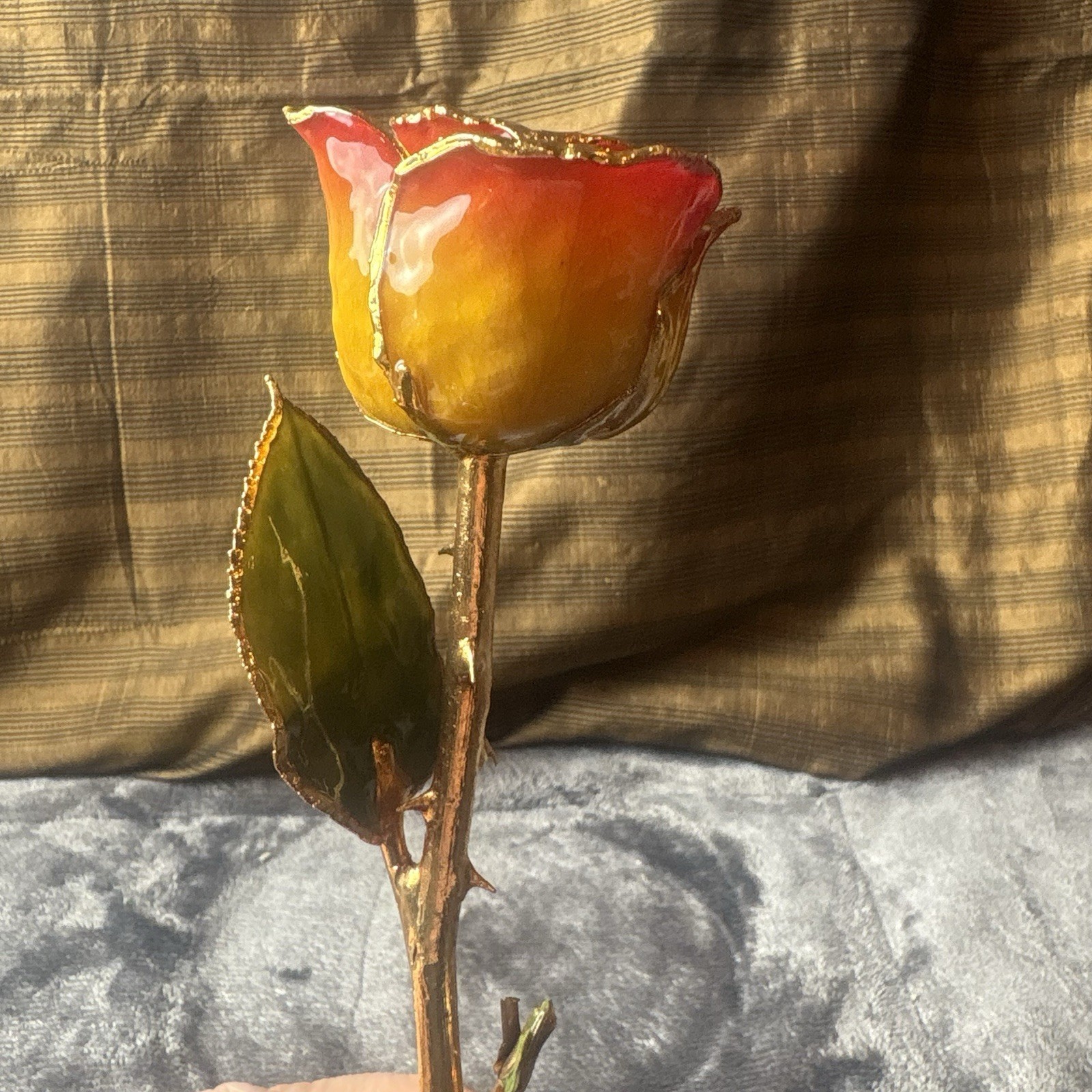 Vintage Forever Rose Lacquer Dipped 24k Gold Trimmed Yellow/Red Two Tone Rose