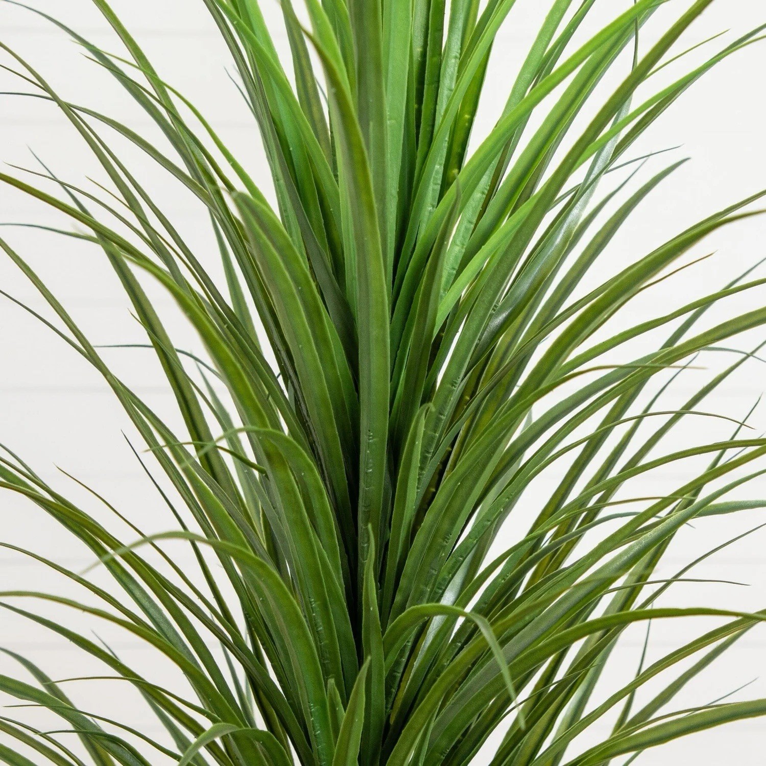 6’ UV Resistant Artificial Grass Plant in White Planter Indoor/Outdoor