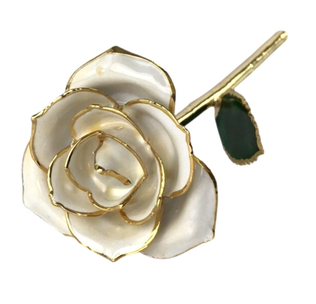 24K Gold Dipped White Rose Long Stem Forever Preserved Rose Flower Lacquered