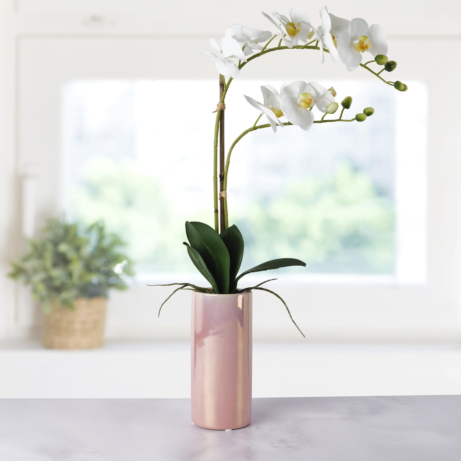 White Artificial Orchid in Pink Ceramic Pot, 9.8×5.5×24 Inch