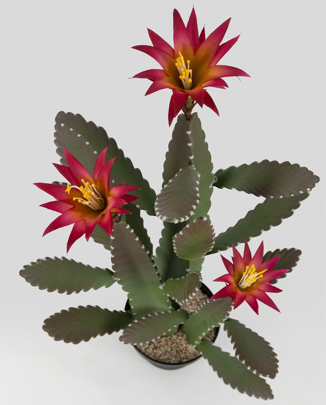 33 Inch Large Artificial Cactus with Magenta Flowers in Pot with Natural Grav…