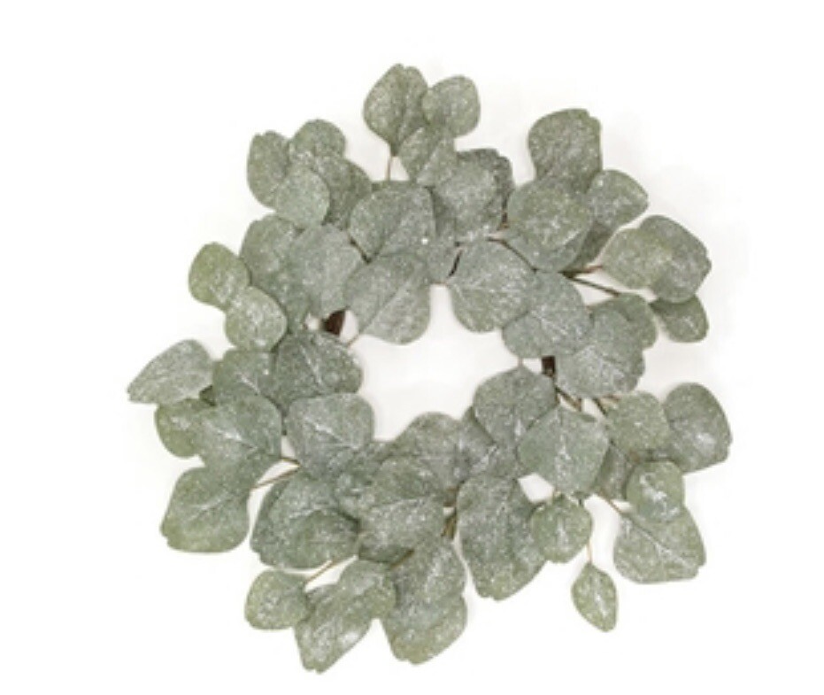 Frosted Dollar Eucalyptus Christmas Or Winter Small Wreath Ring, 6.5
