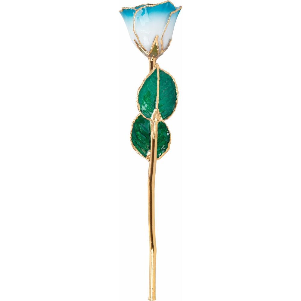24k Gold Dipped Cream Turquoise Lacquer Real Rose Valentine’s Day Holiday Gift