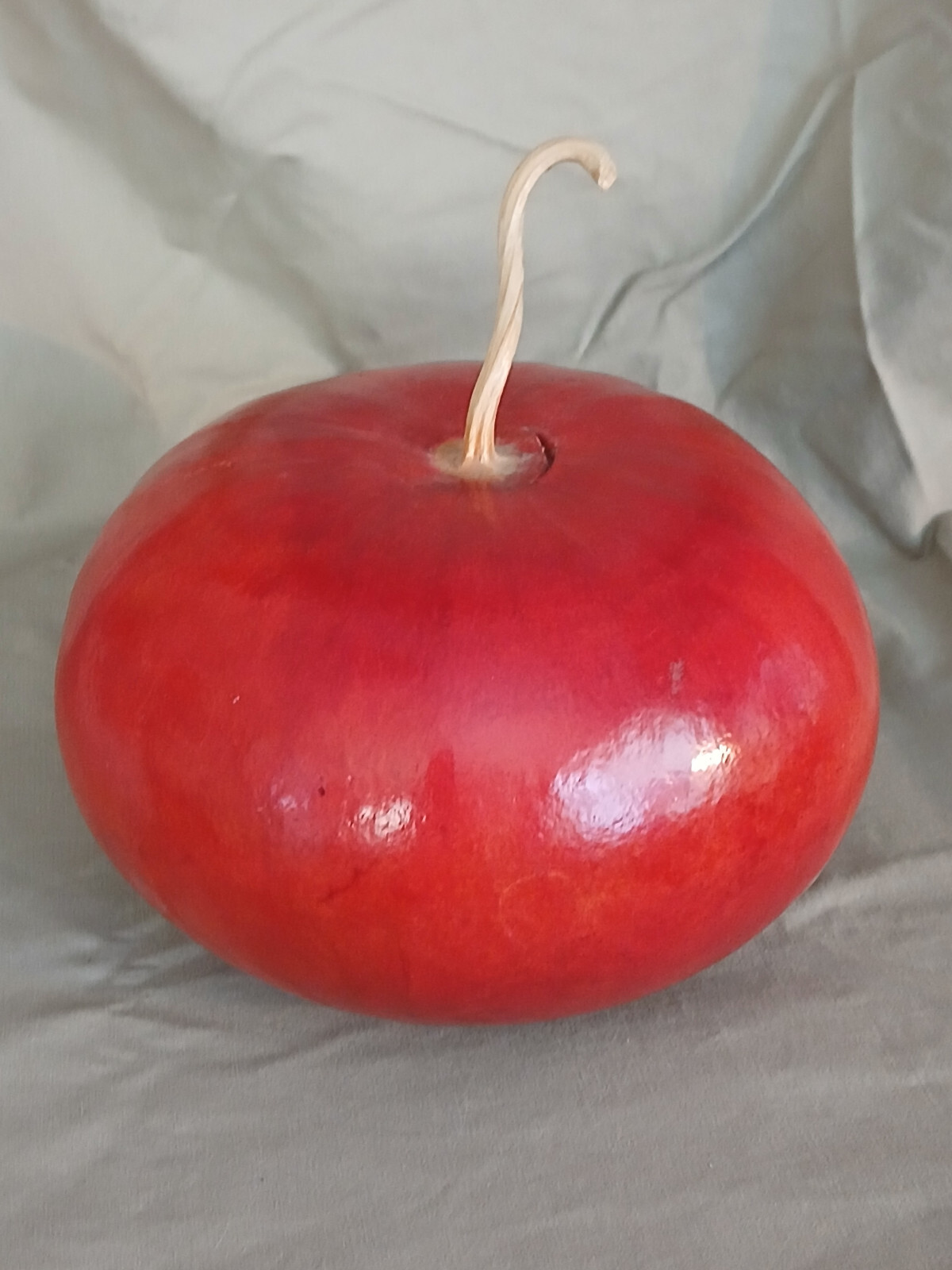 Large Apple Fall Perfect Natural Gourd Dried Decor Painted Red6 x 8 in