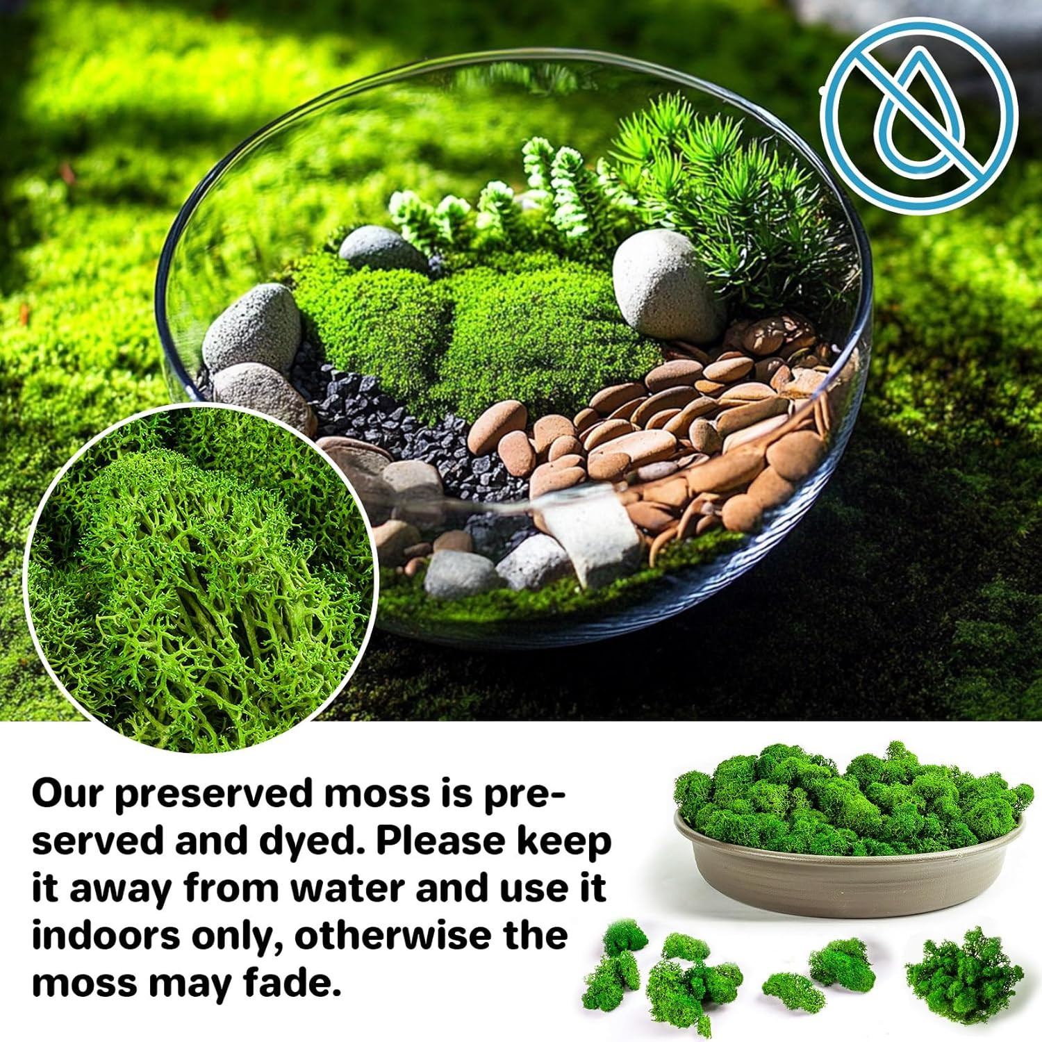 3.5 OZ Preserved Moss Natural Green Faux Moss for DIY Crafts Floral Decor