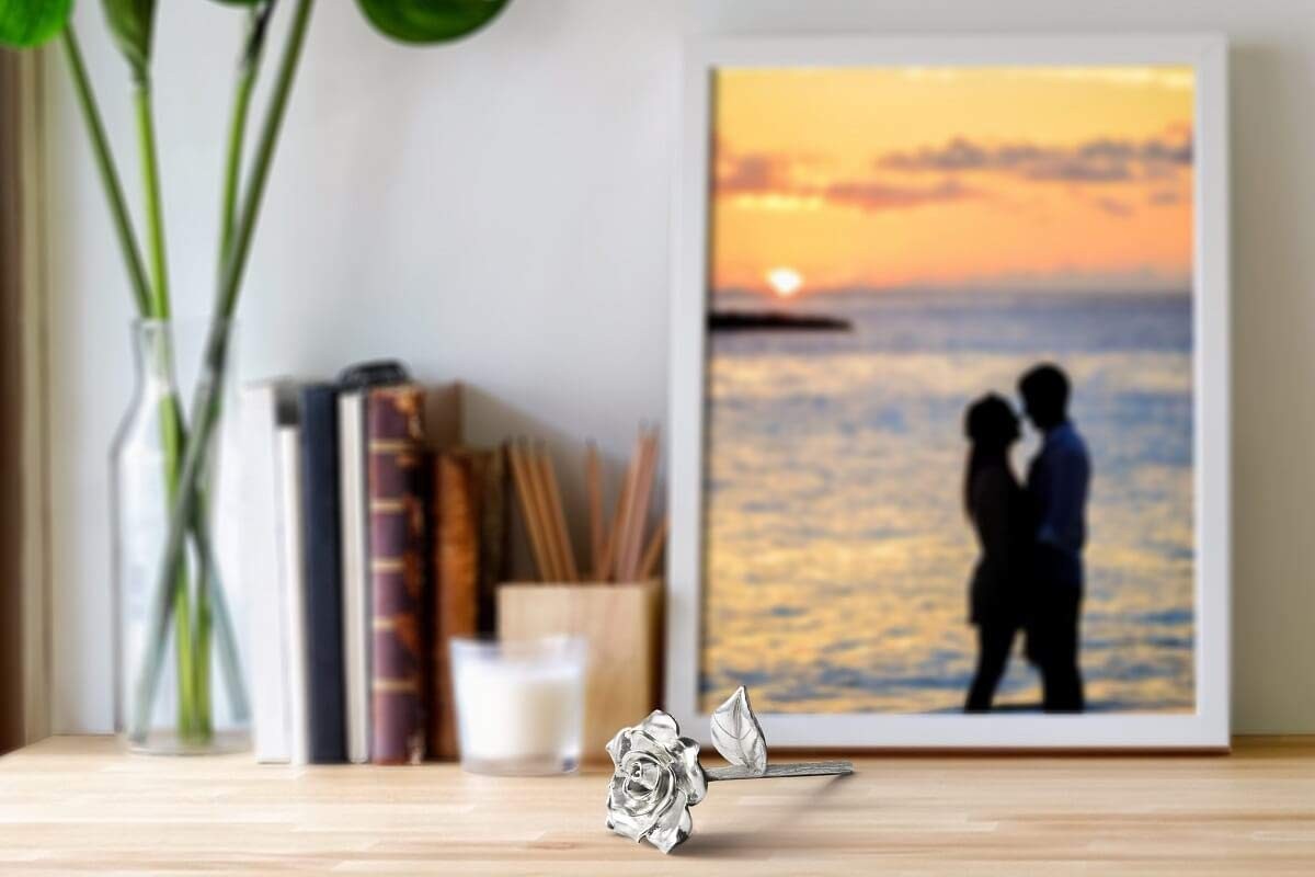 BESZONE Tin Rose 10th Anniversary for Her Gift Tin Gift 10 Year Wedding Anni…