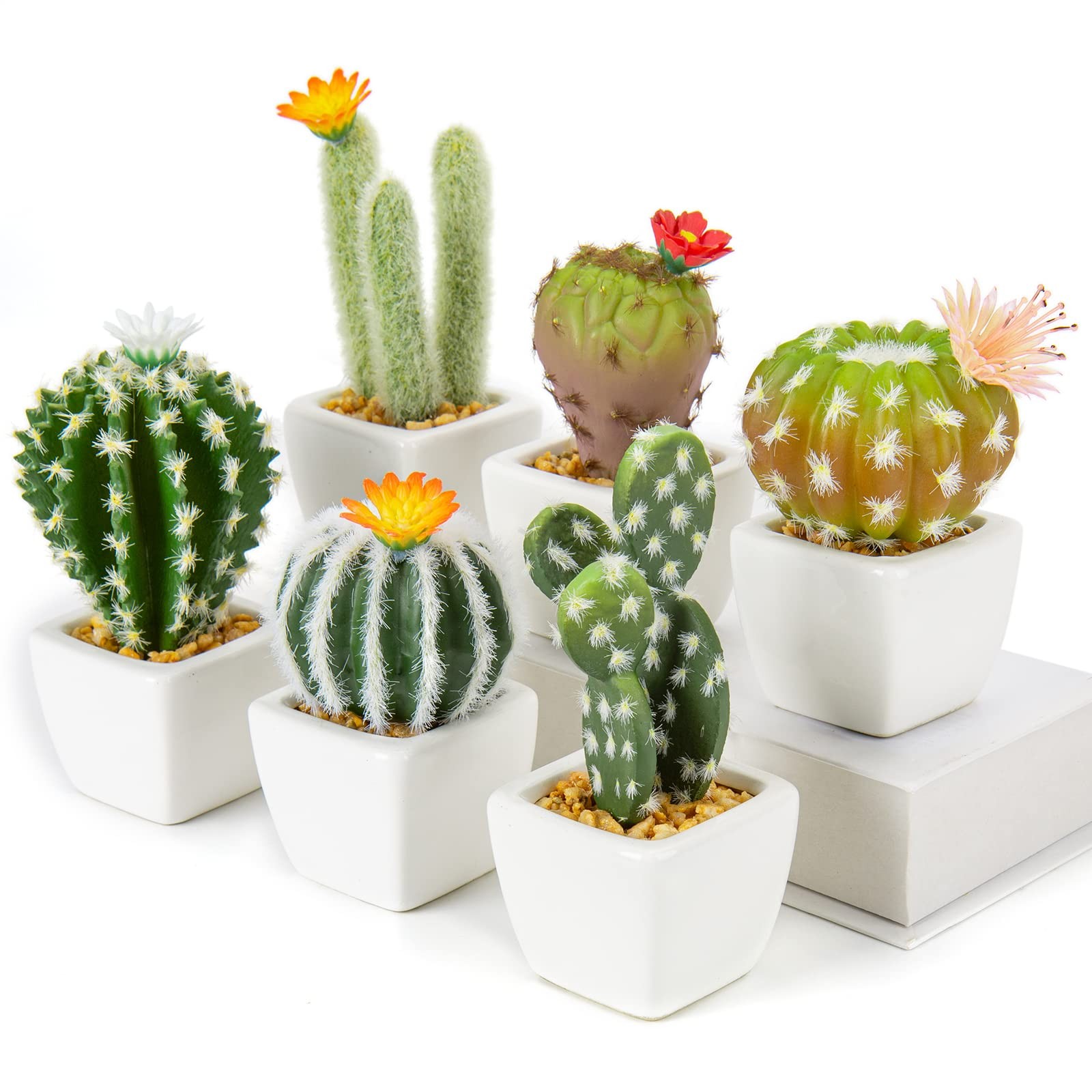 Mini Artificial Cactus Plants in Ceramic Pots 6 Pcs Potted Faux Succulents in…