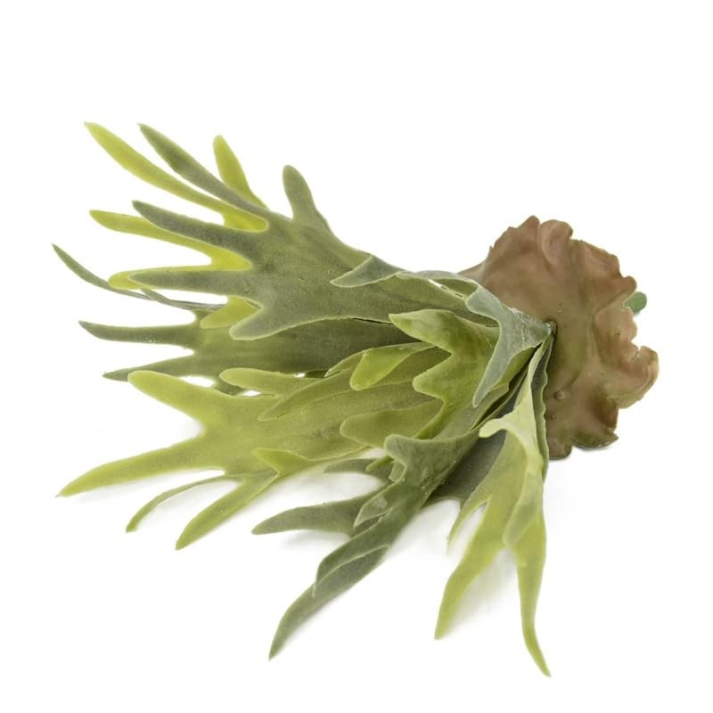 2Pcs Artificial Staghorn Fern Realistic Fake Flocked Succulent Plants Green P…