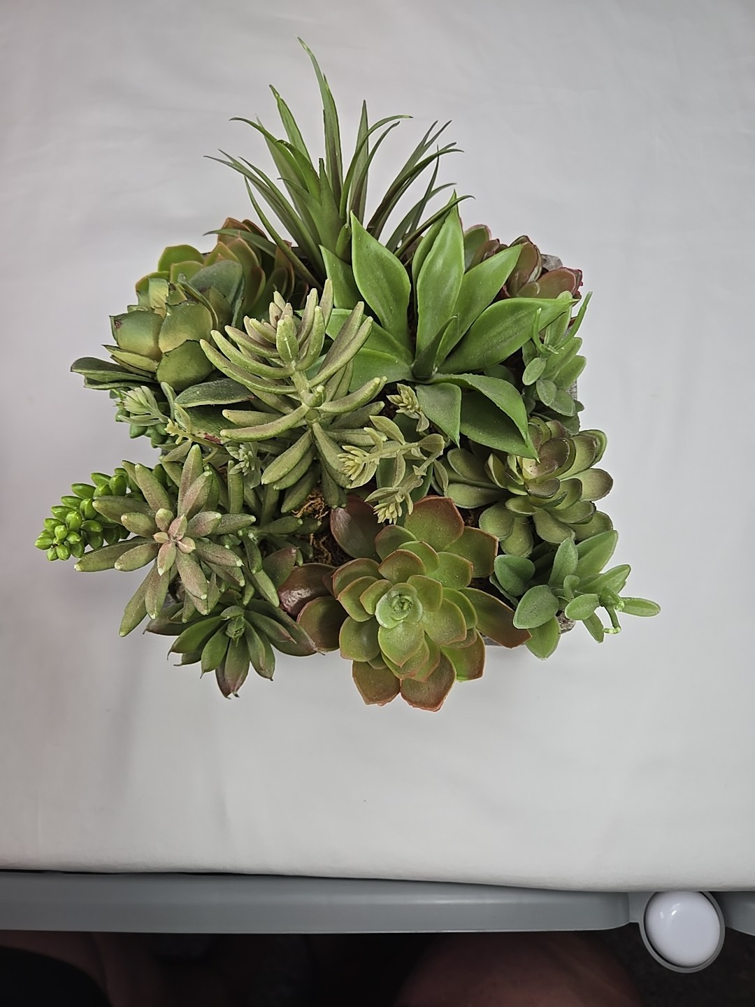 17 Pcs Assorted Artificial Succulents Faux Plants in Square Stone Looking Pot