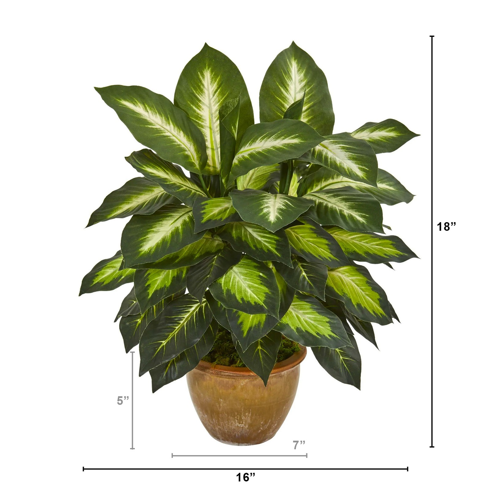 Nearly Natural Dieffenbachia Artificial Plant in Ceramic Planter in Green/Tan