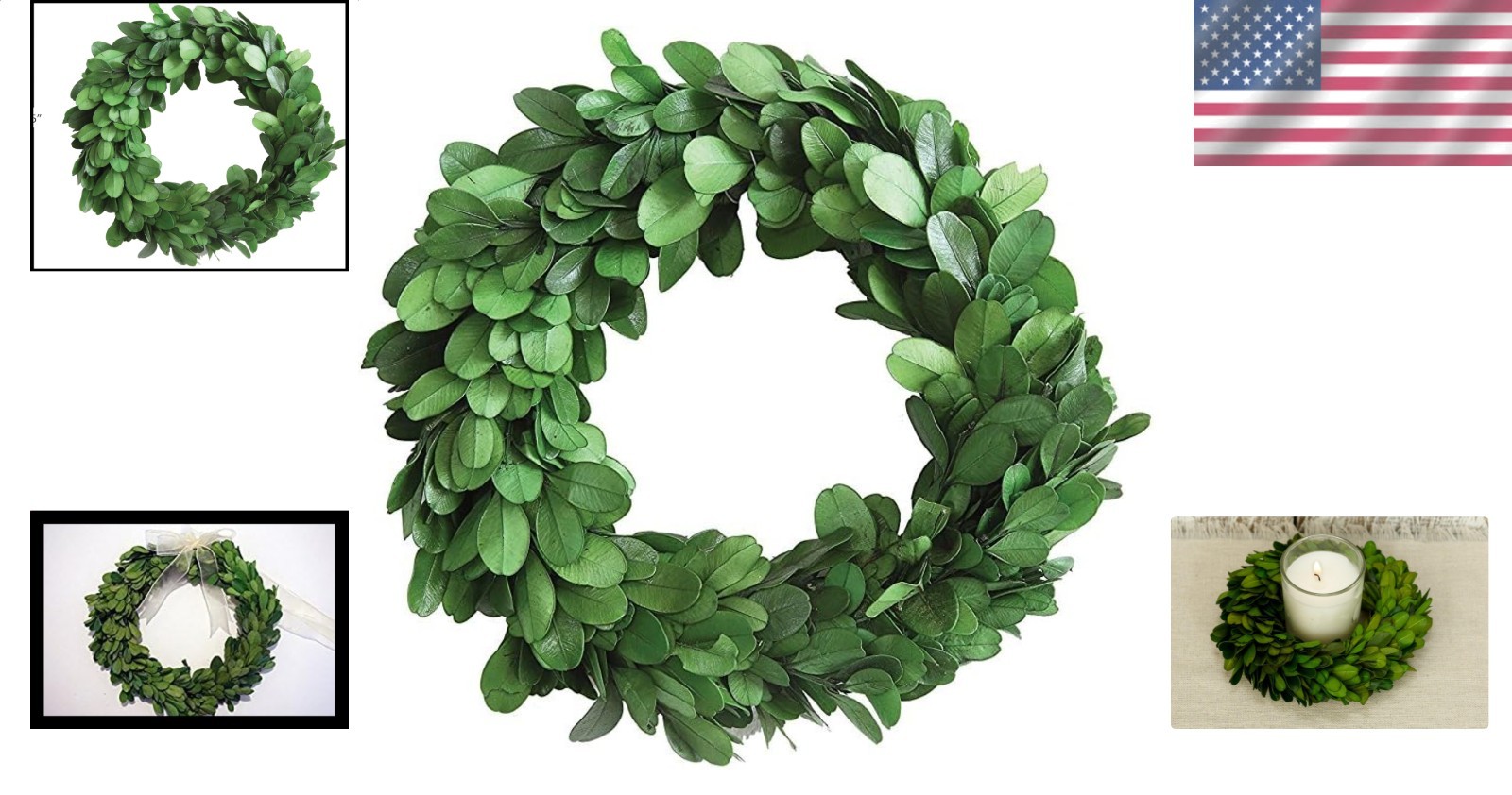 Preserved Boxwood Wreath Indoor Organic Greenery AccentSmall 6