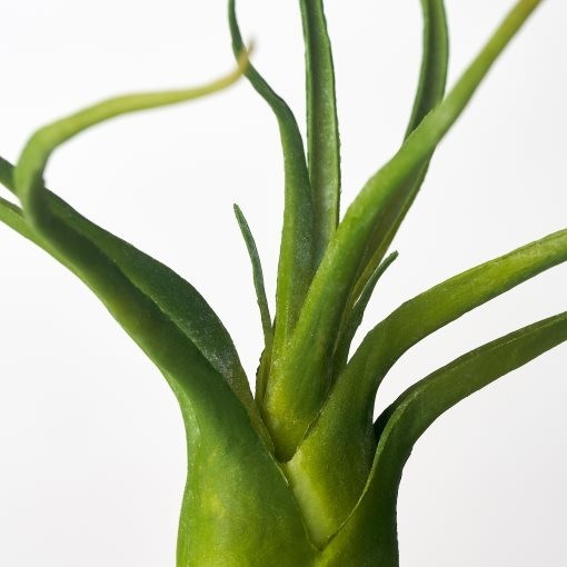 IKEA FEJKA Artificial Plant Set Of 3 Air Plant Selling 2 boxes as a bundle