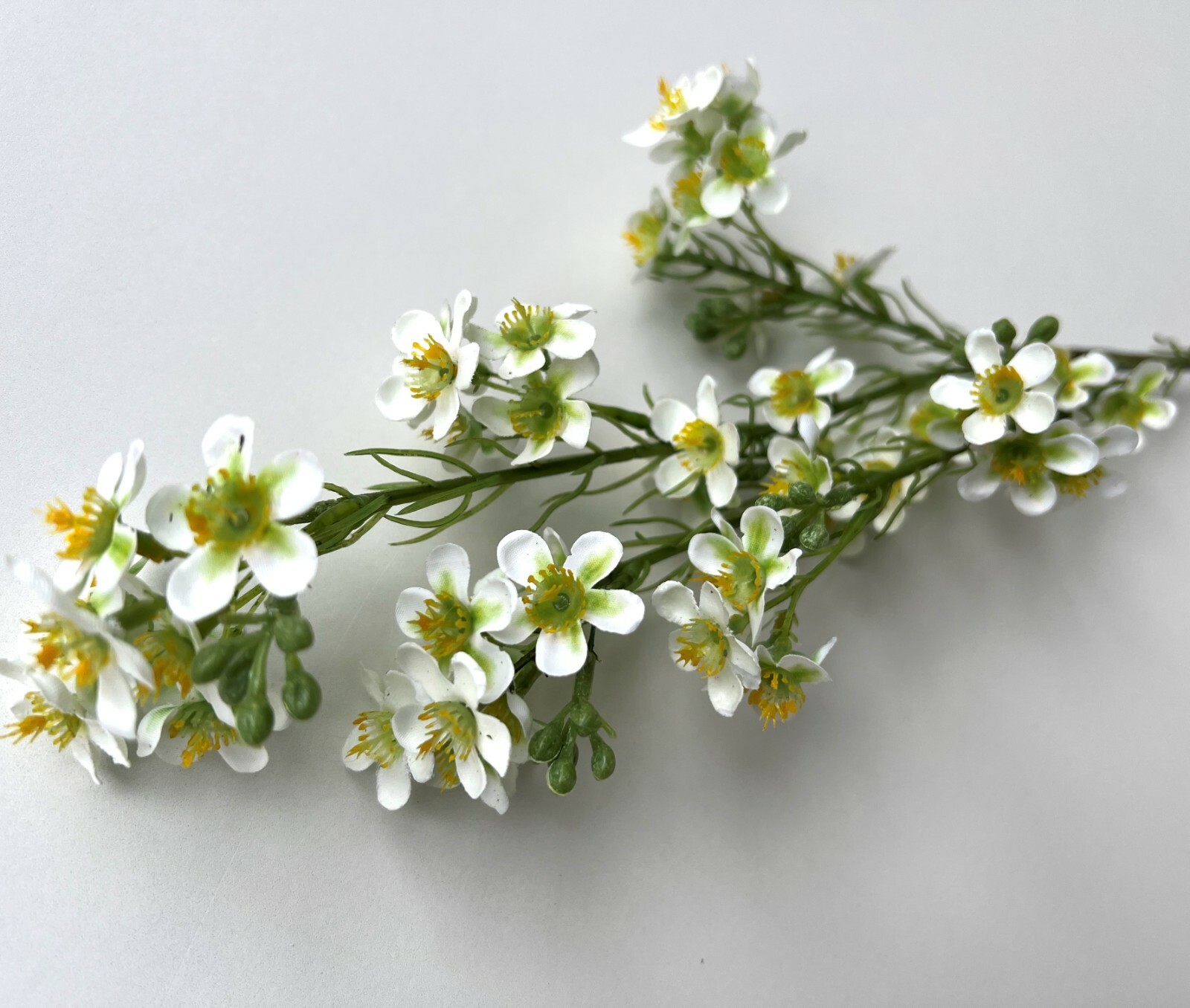 Geraldton Wax Flower Australian Native Flowers White Green Wax Stem Artificial 1