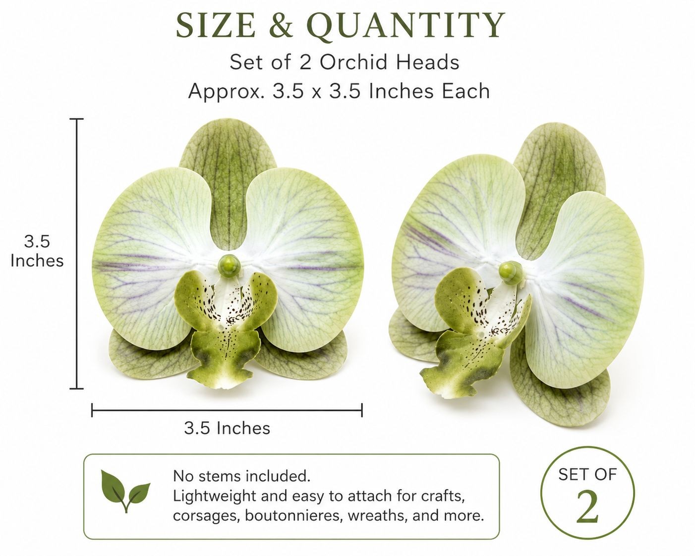 Jade Green Real Touch Orchid Heads Set of 2, 3.5 Inch Phalaenopsis Blooms for Co