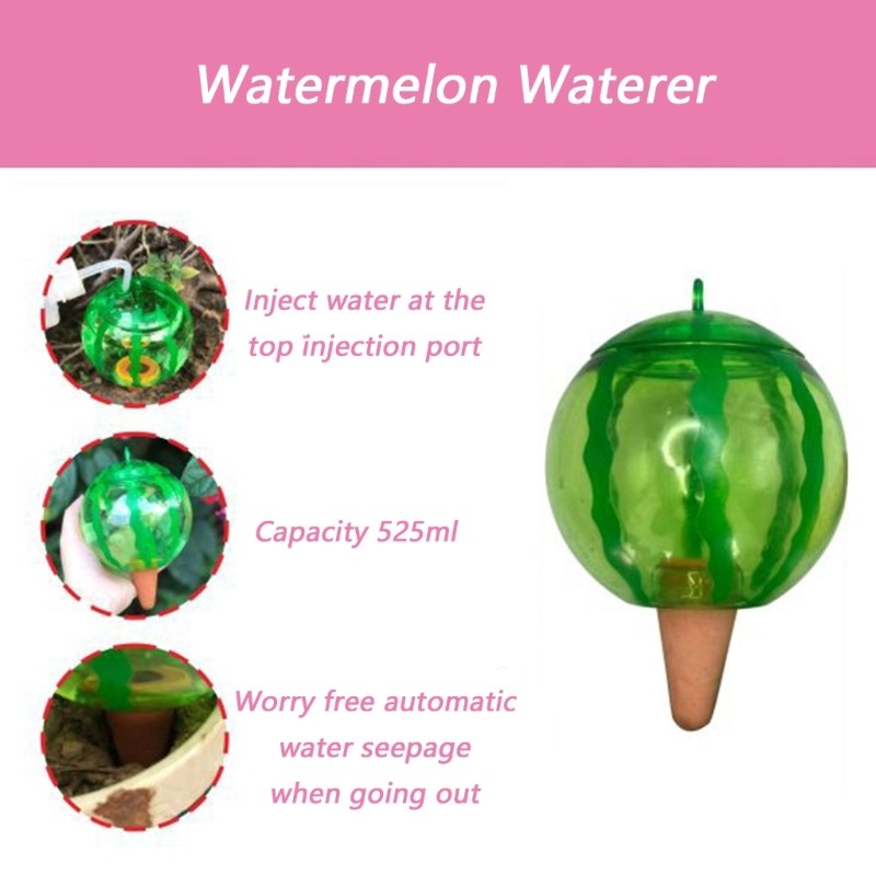 Plant Watering Ball Suitable for Indoor Outdoor Plant Automatic Plant Drippers