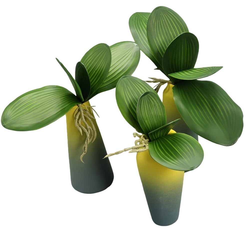 2pcs Simulated Phalaenopsis Orchid Leaves (PU Phalaenopsis Orchid Leaves)