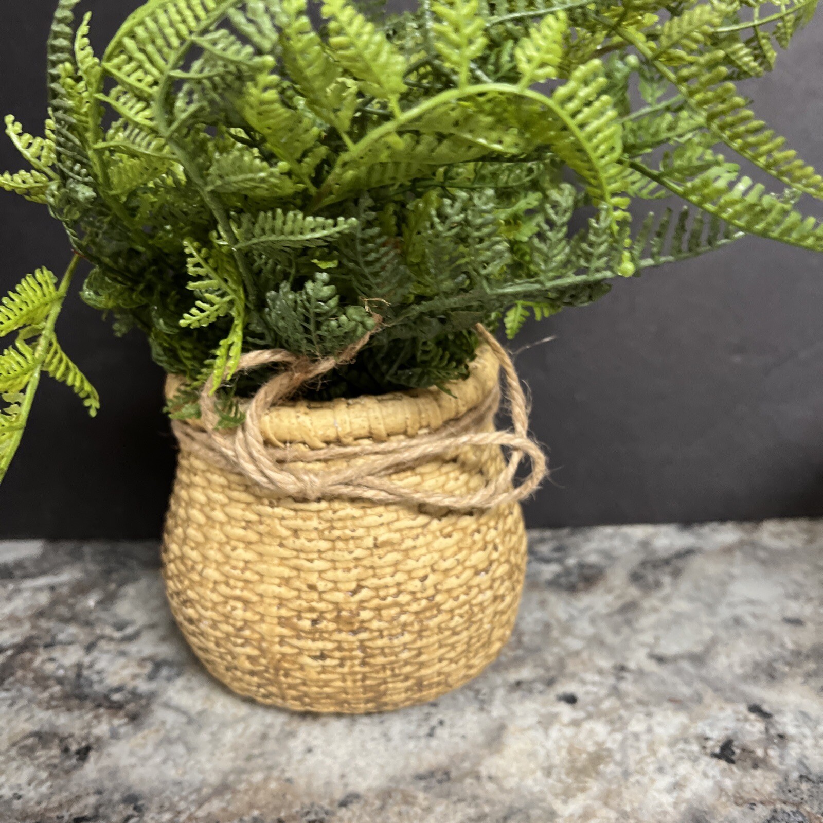 Natural Touch Lace Fern in Faux Woven Basket Valerie Parr Hill 12”