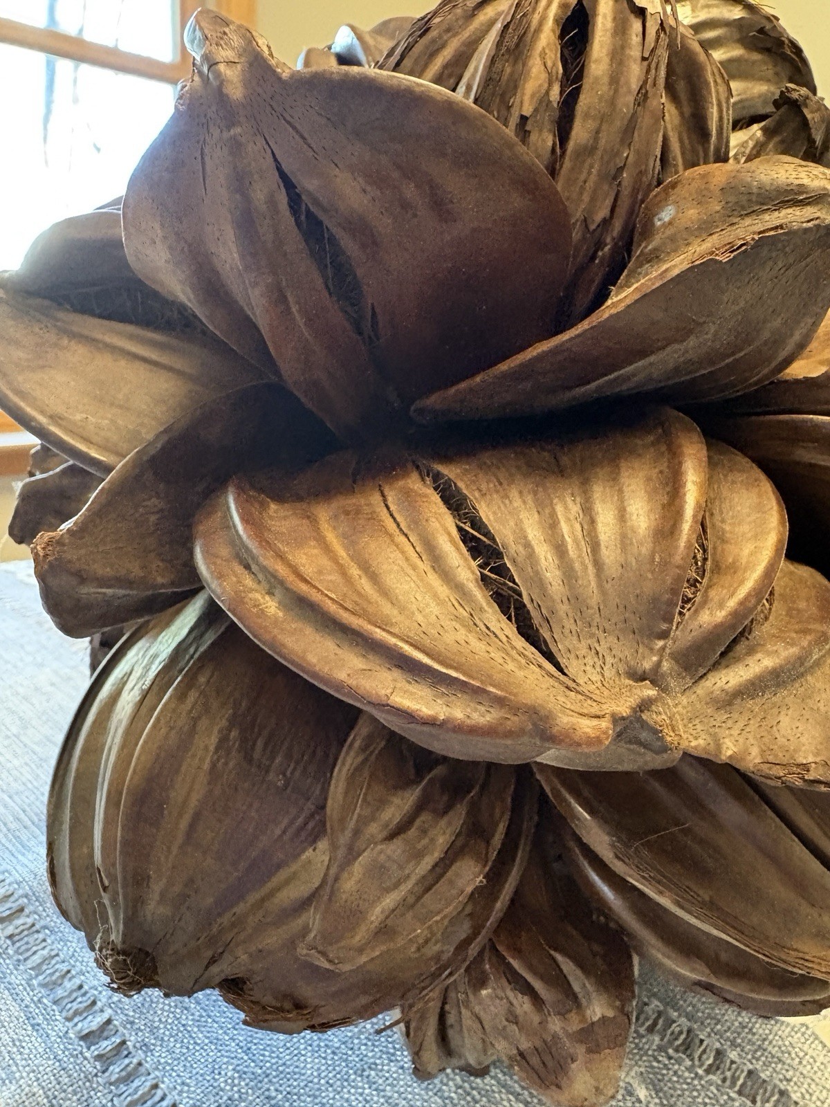 Vietnamese Water Coconut Nipa Palm Fruit Cluster Seed Pod Nypa Fruticans