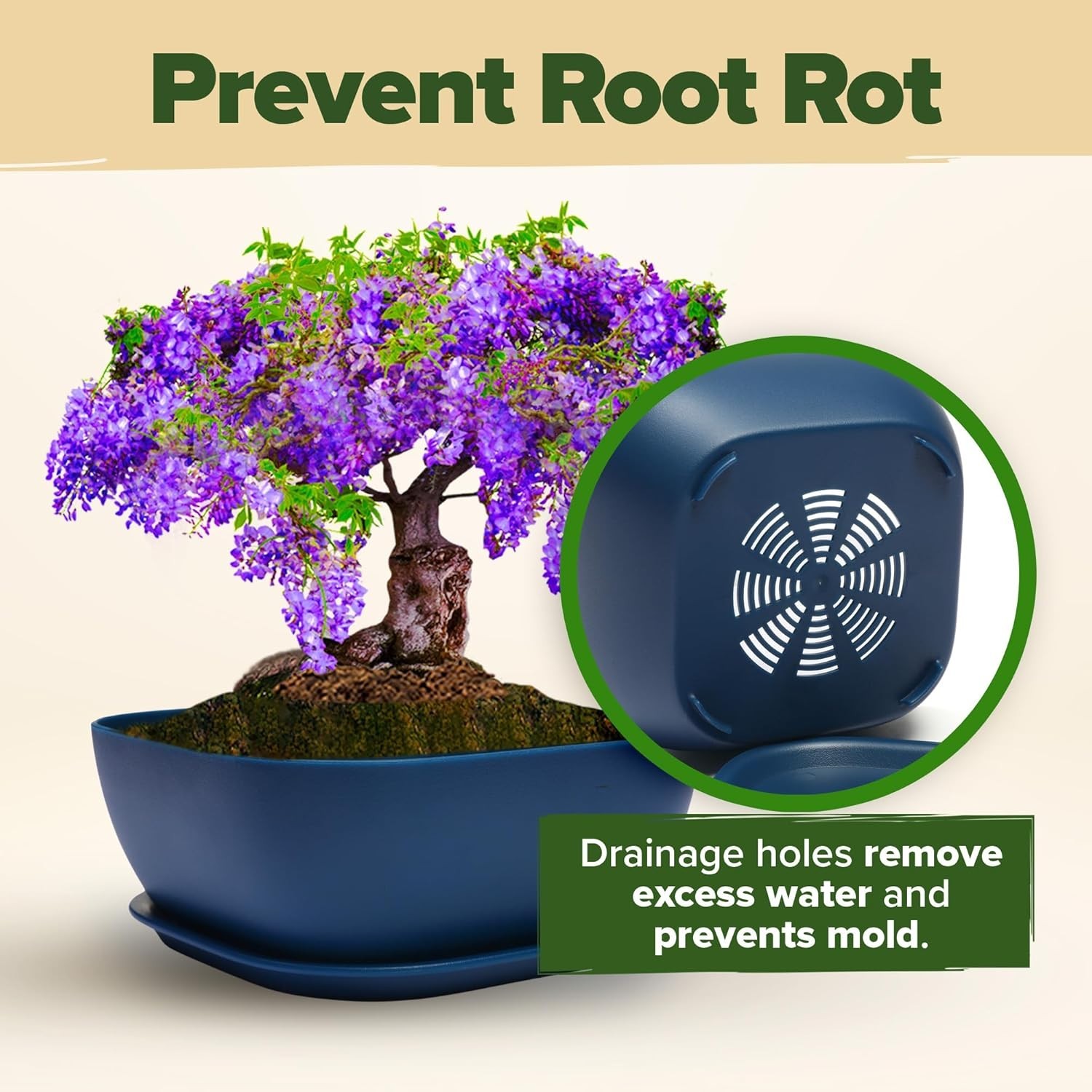 HOME GROWN 𝗨𝗦𝗔 Bonsai Tree Kit – 6 Heirloom Varieties Master