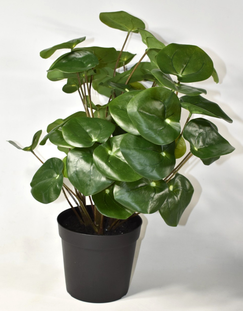 Pottery Barn Faux Elephant Ear Plant Plastic Pot Large 15″ NWOT – NO PLANTER POT