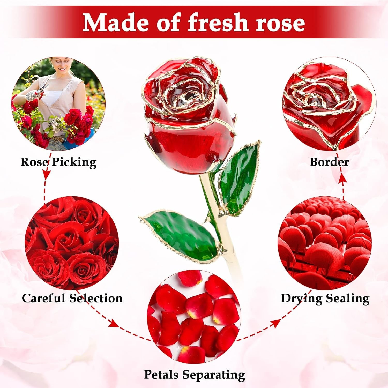 Valentine Gift Real Rose Dipped 24K Gold ，Best Valentines Rose Gift for Her Wife
