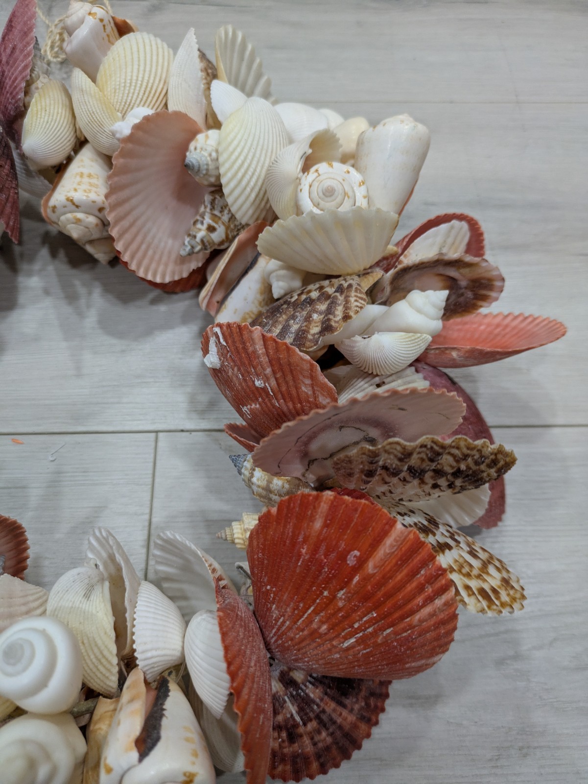 Seashell Door Wreath Beach Cottage Nautical Ocean Coastal Heavy 12″ w Starfish